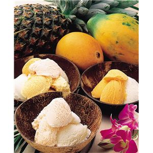 トロピカルアイスクリーム5種セット