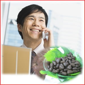 頑張るビジネスマンの食生活は要注意。今を無駄にはしない!プレミ アムサプリメント霊芝 頑張るビジネスマンの食生活は要注意。今を無駄にはしない!プレミ アムサプリメント霊芝