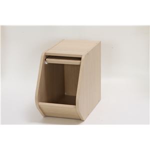 木目調 ブロックボックス/カラーボックス 【扉付き/ホワイトウォッシュ】 幅20cm&times;奥行38.8cm&times;高さ30.5cm 『Klotz』