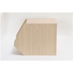 木目調 ブロックボックス/カラーボックス 【扉付き/ホワイトウォッシュ】 幅20cm&times;奥行38.8cm&times;高さ30.5cm 『Klotz』