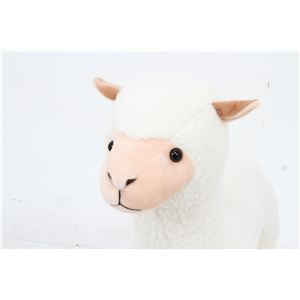 子供用 ぬいぐるみ/人形 【アルパカ】 幅68cm 〔おもちゃ 子ども部屋〕 