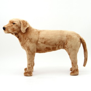 子供用 ぬいぐるみ/人形 【ラブラドール型】 幅28cm 〔おもちゃ 子ども部屋〕