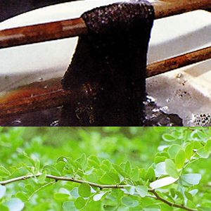 ���L�X�e�B�b�N�w�A�J���[ �u���E��