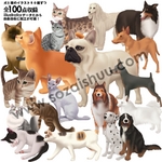 �u���L�~�b�N�X�f�ޏW�vCD-ROM/Illustrator��