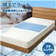 ���܂ŃN�[��(R) �ᔽ����p�W�F���}�b�g �v�`�V���O��(90�~60cm)