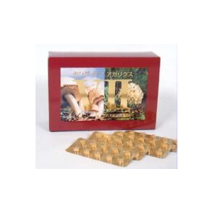 �L���O�I�u�A�K���N�XVII �^�u���b�g