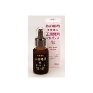 �����y�f�t�̃v���|���X