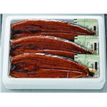 愛知三河産 うなぎ蒲焼 200g×3尾