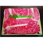 ����̣ͷ�ˡ׷��ܸ��������µ��Υ��ơ����Ⱦ����͹礻