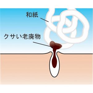 「身体のアクとり体験」和紙のタオル 2枚組