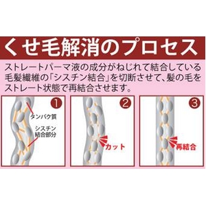 ヴェルジュ ストレートアップシャンプー 500ml