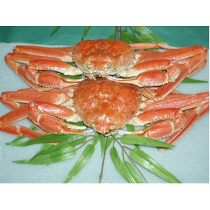 豪華！北海3大蟹セット