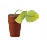 ペコッぱ　2個セット　（茶）