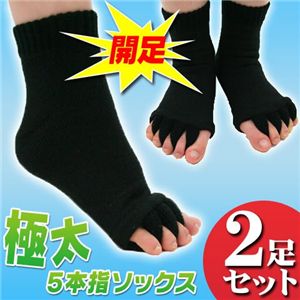 極太5本指ソックス 2足組