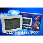 NEW LED Fantasy アクア 