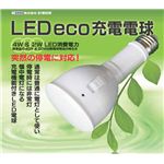 LED eco充電電球 ソケット付き