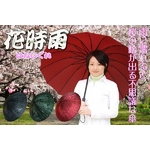 桜の浮き出る蛇の目傘 『花時雨』 16本骨&グラスファイバー エンジ