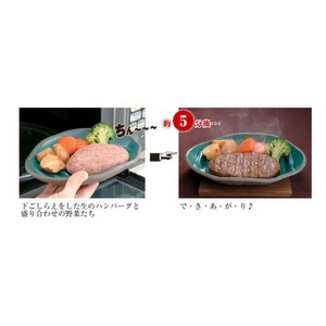 電子レンジ調理器 ふしぎなお皿(レシピ本付き) 【2枚セット】