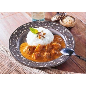 世界のカレーシリーズ・マレーシアカレー 10食セット