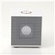 MP3ܥԡ ROCKMAN ̿4