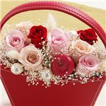 ����������եȡ�4��28���ޤǸ���ۥץꥶ���֥ɥե��֥������쥶���Хå���
