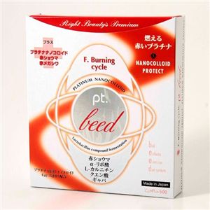 �v���`�i�r�[�h