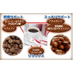 コーヒー感覚の食物繊維ダイエット　ボディースクイーズ1500　