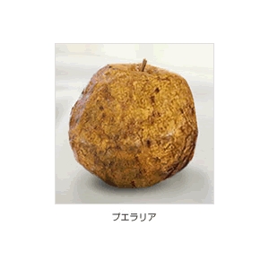 フィロIIクリーム