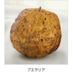 ブラヴィ バストクリーム