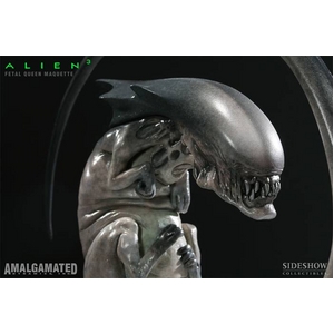 �G�C���A��3�@Fetal Queen �}�P�b�g