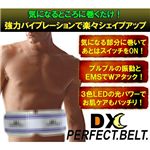 DX PERFECT BELT(デラックスパーフェクトベルト)