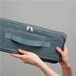 竹炭収納ケースロータイプ【2個組】