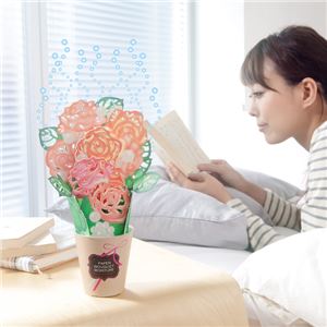 華やぎペーパーモイスチャー カーネーション【2個セット】