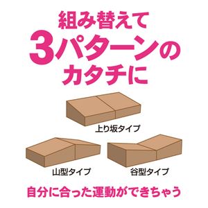 自宅で簡単昇降運動 毎日動くん台!