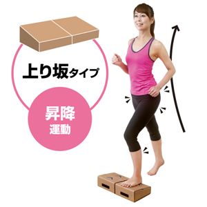 自宅で簡単昇降運動 毎日動くん台!