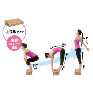 自宅で簡単昇降運動 毎日動くん台!