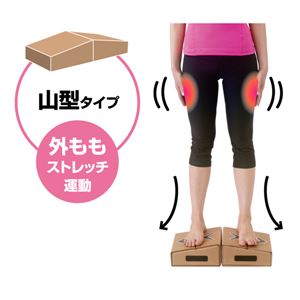 自宅で簡単昇降運動 毎日動くん台!
