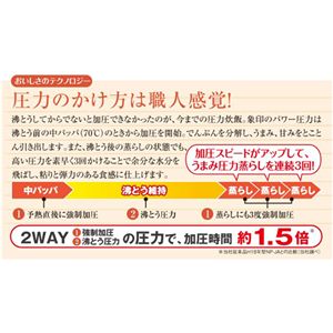 �ۈ� ����IH���уW���[ NP-LT10-WP