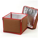 �ݲ�Ĵ����ECO BOX