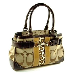 Coach(コーチ) バッグ ハンプトンズ シグネチャー ストライプ ミディアム キャリオール ブラウン 13073