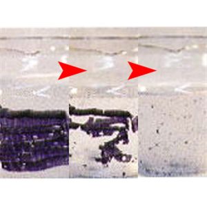 NEW洗剤革命II300g