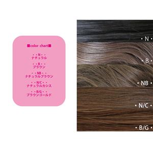 �J�`���[�V���t �n�[�t�E�B�b�O�i�ϔM�j �J�[���~�f�B�EKH-4 N�^C�i�i�`�������J�V�X�j