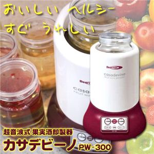 超音波式 果実酒即製器 カサデビーノ PW-300