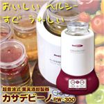 超音波式 果実酒即製器 カサデビーノ PW-300