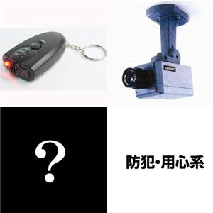 3点福袋 防犯系