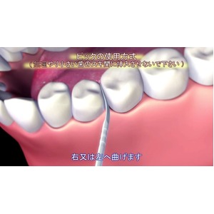 爪楊枝型歯間ブラシ「ブラッシュピックス40本」&times;10個セット（計400本）