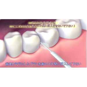 爪楊枝型歯間ブラシ「ブラッシュピックス40本」&times;10個セット（計400本）