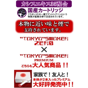 【電子タバコ】トウキョウスモーカーゼロ TS-ZERO本体＋ケース（黒）セット