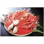 ����ܥ��뤺�襤���˵ӡ�2L〜3L�˥ܥ�塼��4kg���å�
