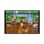 任天堂Wii「シェイプボクシングＷｉｉでエンジョイダイエット！」
